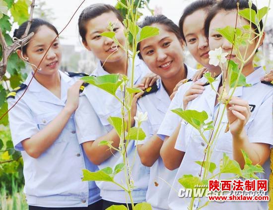 延西高速铜川新区管理所女收费员的酸甜苦辣
