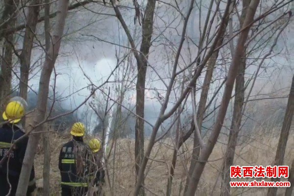黄河滩杂草失火 韩城消防成功扑救