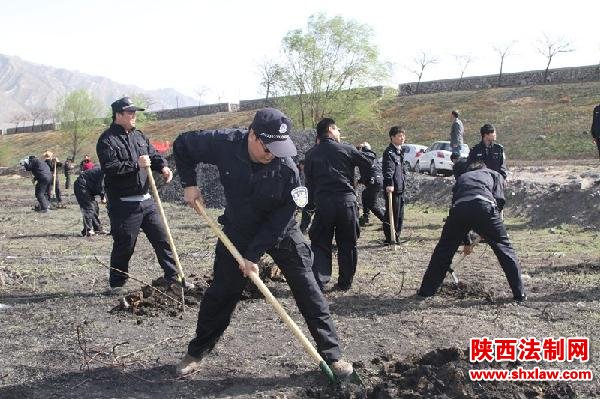 敢打硬仗展作风 覆盖黄沙焕绿颜