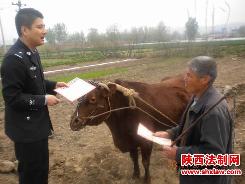 强化矛盾纠纷排查 全力维护社会稳定