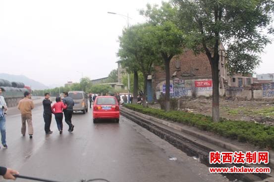 韩城警方快速击毙一只狂躁无主藏獒