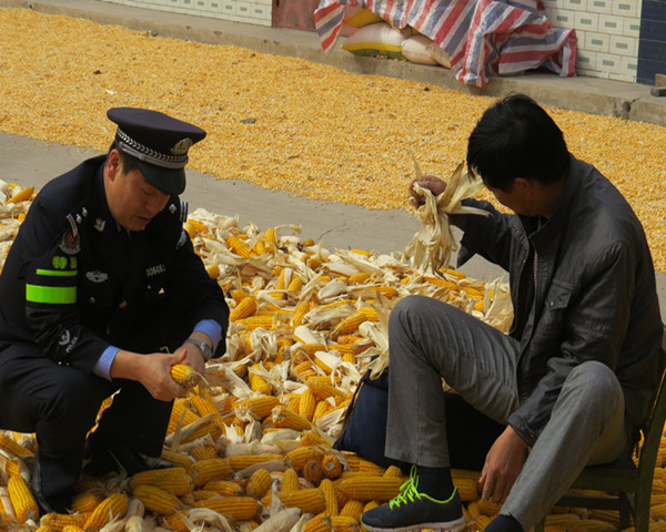 送提示 讲防范 送年画 祝平安