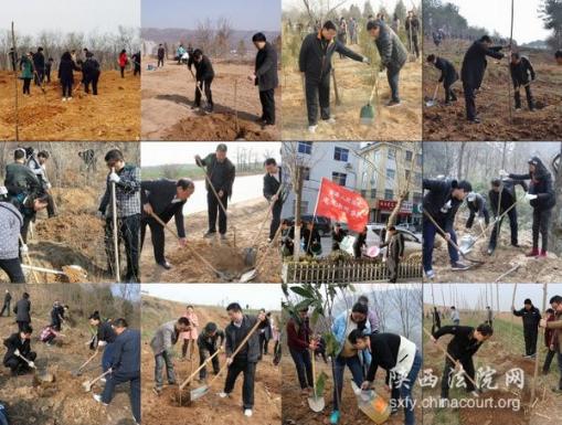  各地法院开展植树造林活动 共建美好家园