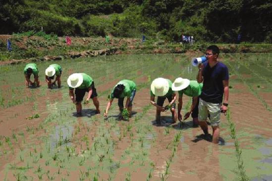 宁陕筒车湾百人水田间举办高山插秧节 热闹非凡
