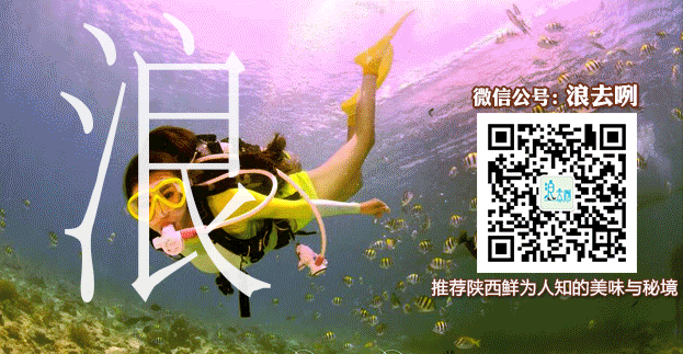147789258237716782.gif